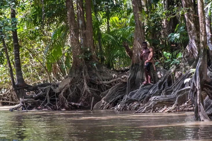 Рака Мароні каля горада Сэн-Ларан-дзю-МароніMaroni river near Saint-Laurent, Guyana, Saint-Laurent-du-Maroni, France