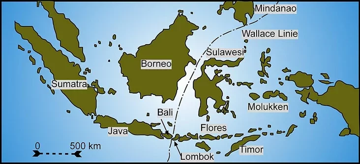 Wallace Linie Linija Uolesa Linija Uollesa