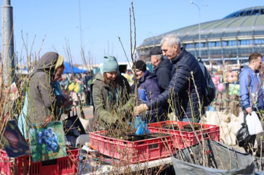 От овощей и рыбы до семян и меда. В столице начал работу весенний рынок