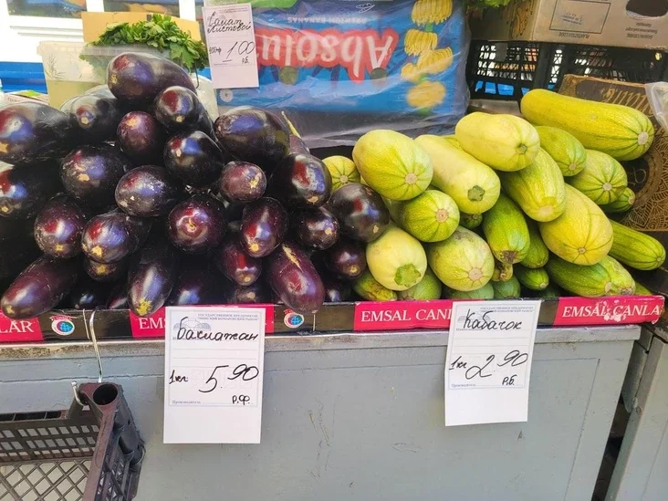 Кабачкі на Камароўцы