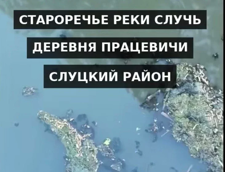 жалобы на качество воды