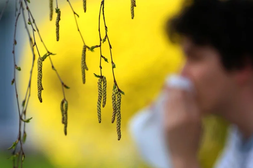 hay fever siezonny alerhičny rynakanjuktyvit siennaja lichoradka