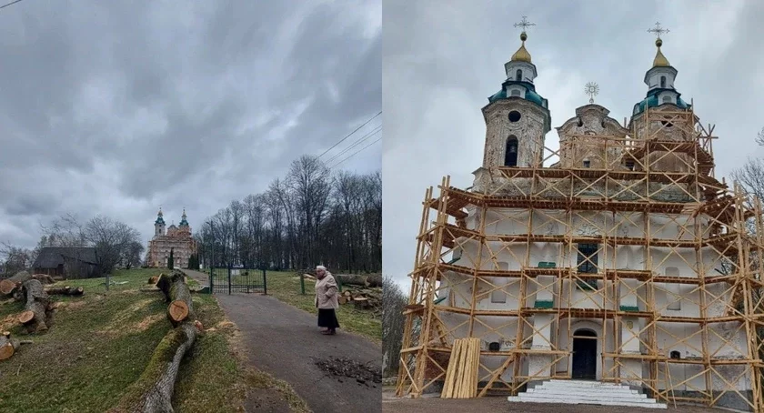 vyrubka dieriev́jev voźle chrama